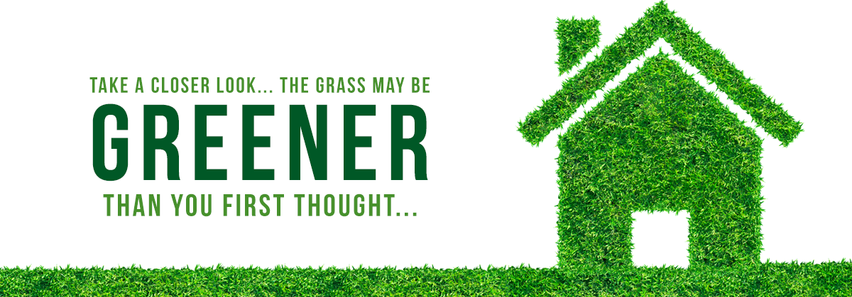 grassisgreener grassisgreener